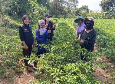 โครงการส่งเสริมอาชีพสมาชิกสหกรณ์ สหกรณ์การเกษตรบ้านนาคู ... พารามิเตอร์รูปภาพ 2