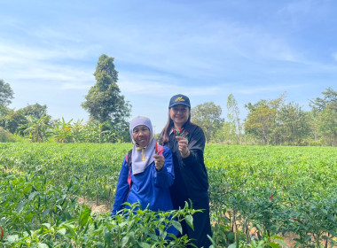 โครงการส่งเสริมอาชีพสมาชิกสหกรณ์ สหกรณ์การเกษตรบ้านนาคู ... พารามิเตอร์รูปภาพ 4