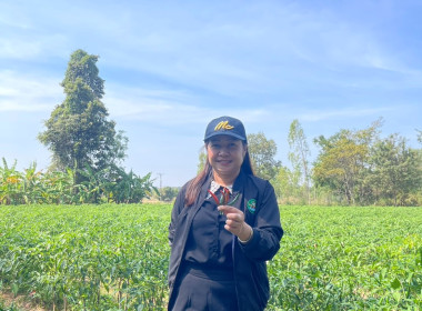 โครงการส่งเสริมอาชีพสมาชิกสหกรณ์ สหกรณ์การเกษตรบ้านนาคู ... พารามิเตอร์รูปภาพ 5