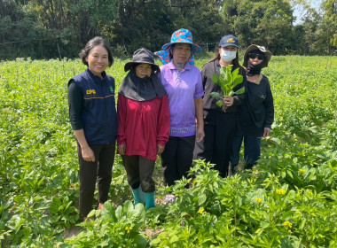 โครงการส่งเสริมอาชีพสมาชิกสหกรณ์ สหกรณ์การเกษตรบ้านนาคู ... พารามิเตอร์รูปภาพ 8