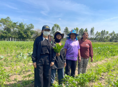 โครงการส่งเสริมอาชีพสมาชิกสหกรณ์ สหกรณ์การเกษตรบ้านนาคู ... พารามิเตอร์รูปภาพ 1
