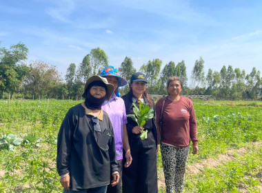 โครงการส่งเสริมอาชีพสมาชิกสหกรณ์ สหกรณ์การเกษตรบ้านนาคู ... พารามิเตอร์รูปภาพ 3