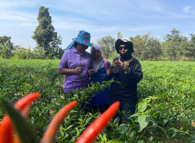 โครงการส่งเสริมอาชีพสมาชิกสหกรณ์ สหกรณ์การเกษตรบ้านนาคู ... พารามิเตอร์รูปภาพ 11