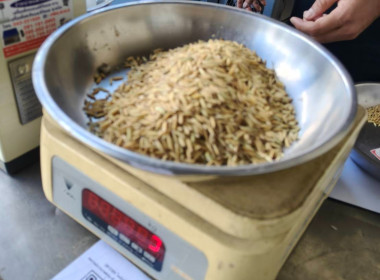 ร่วมประชุม และพบปะลูกค้าสหกรณ์การเกษตรนาดีอำนาจเจริญ จำกัด พารามิเตอร์รูปภาพ 5