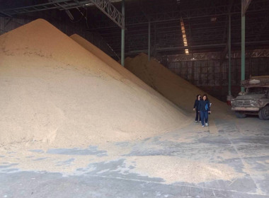 ร่วมตรวจสอบสต็อกข้าวผู้ประกอบการค้าข้าวที่เข้าร่วมโครงการชดเชยดอกเบี้ยในการเก็บสต็อก ... พารามิเตอร์รูปภาพ 8