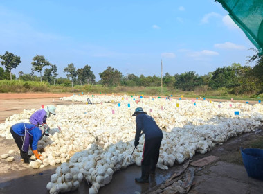 แนะนำส่งเสริมการดำเนินธุรกิจของสหกรณ์และติดตามเงินกู้กองทุนพัฒนาสหกรณ์ ... พารามิเตอร์รูปภาพ 2