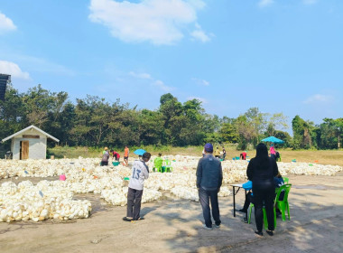 แนะนำส่งเสริมการดำเนินธุรกิจของสหกรณ์และติดตามเงินกู้กองทุนพัฒนาสหกรณ์ ... พารามิเตอร์รูปภาพ 3