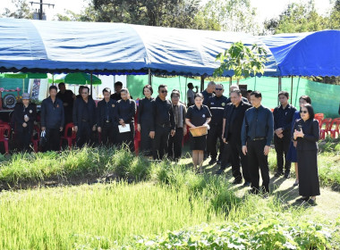 จังหวัดอำนาจเจริญ เปิดงาน วันดินโลก ประจำปี พ.ศ. 2568 Word ... พารามิเตอร์รูปภาพ 6