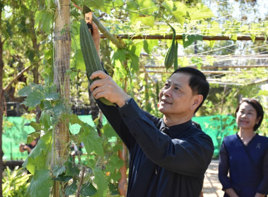 จังหวัดอำนาจเจริญ เปิดงาน วันดินโลก ประจำปี พ.ศ. 2568 Word ... พารามิเตอร์รูปภาพ 2