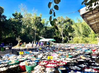 ธุรกิจรวบรวมยางพารา กลุ่มเกษตรกรชาวสวนยางอำเภอหัวตะพาน พารามิเตอร์รูปภาพ 6