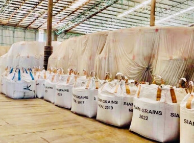 ร่วมตรวจติดตามโครงการชดเชยดอกเบี้ยในการเก็บสต็อกข้าว ปี ... พารามิเตอร์รูปภาพ 9