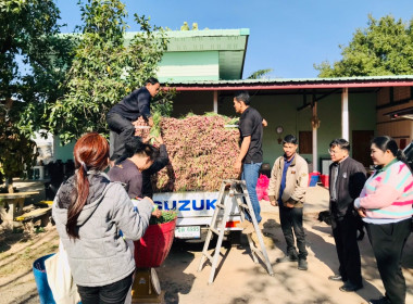 กระจายผลผลิตหอมแดงสด พารามิเตอร์รูปภาพ 3