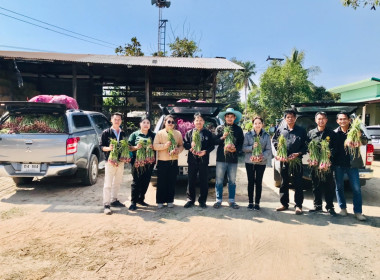 กระจายผลผลิตหอมแดงสด พารามิเตอร์รูปภาพ 2