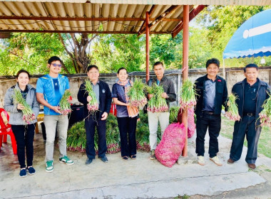 กระจายผลผลิตหอมแดงสด พารามิเตอร์รูปภาพ 1