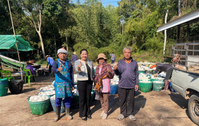 ธุรกิจรวบรวมยางพารา กลุ่มเกษตรกรชาวสวนยางอำเภอหัวตะพาน พารามิเตอร์รูปภาพ 1