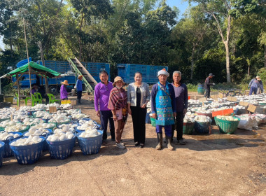 ธุรกิจรวบรวมยางพารา กลุ่มเกษตรกรชาวสวนยางอำเภอหัวตะพาน พารามิเตอร์รูปภาพ 3