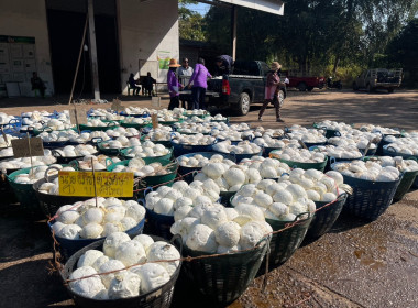 ธุรกิจรวบรวมยางพารา กลุ่มเกษตรกรชาวสวนยางอำเภอหัวตะพาน พารามิเตอร์รูปภาพ 5