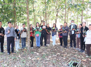 โครงการประชุมเชิงปฏิบัติการสร้างมูลค่าเพิ่มจากวัสดุเหลือใช้ทางการเกษตร ปี พ.ศ. 2569 ... พารามิเตอร์รูปภาพ 5