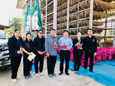 กระจายผลผลิตหอมแดง (มัดจุก) พารามิเตอร์รูปภาพ 1