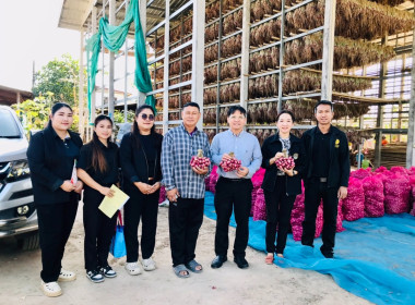 กระจายผลผลิตหอมแดง (มัดจุก) พารามิเตอร์รูปภาพ 1