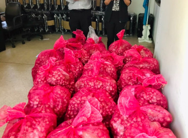 กระจายผลผลิตหอมแดง (มัดจุก) พารามิเตอร์รูปภาพ 9