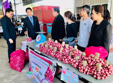 กระจายผลผลิตหอมแดง (มัดจุก) พารามิเตอร์รูปภาพ 1