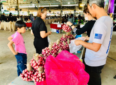 กระจายผลผลิตหอมแดง (มัดจุก) พารามิเตอร์รูปภาพ 2