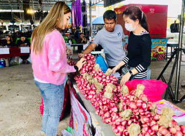 กระจายผลผลิตหอมแดง (มัดจุก) พารามิเตอร์รูปภาพ 3