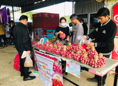 กระจายผลผลิตหอมแดง (มัดจุก) พารามิเตอร์รูปภาพ 4