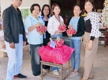 กระจายผลผลิตหอมแดง (มัดจุก) พารามิเตอร์รูปภาพ 6