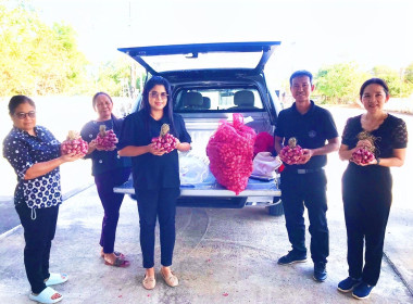 กระจายผลผลิตหอมแดง (มัดจุก) พารามิเตอร์รูปภาพ 7