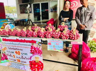 กระจายผลผลิตหอมแดง (มัดจุก) พารามิเตอร์รูปภาพ 9