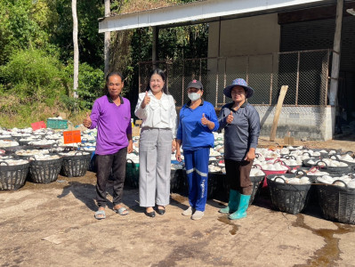 ธุรกิจรวบรวมยางพารากลุ่มเกษตรกรชาวสวนยางอำเภอหัวตะพาน พารามิเตอร์รูปภาพ 1