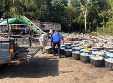 ธุรกิจรวบรวมยางพารากลุ่มเกษตรกรชาวสวนยางอำเภอหัวตะพาน พารามิเตอร์รูปภาพ 5