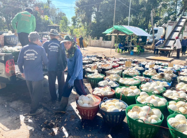 ธุรกิจรวบรวมยางพารากลุ่มเกษตรกรชาวสวนยางอำเภอหัวตะพาน พารามิเตอร์รูปภาพ 6