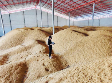 ร่วมตรวจสอบสต็อกข้าวผู้ประกอบการค้าข้าวที่เข้าร่วมโครงการชดเชยดอกเบี้ยในการเก็บสต็อก ... พารามิเตอร์รูปภาพ 5