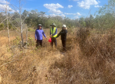 ลงพื้นที่ตรวจสอบการฝังหลักหมุดพื้นที่ป่าไม้ส่วนกลาง ... พารามิเตอร์รูปภาพ 4
