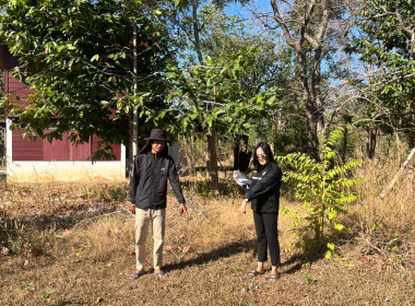 ลงพื้นที่ตรวจสอบการฝังหลักหมุดพื้นที่ป่าไม้ส่วนกลาง ... พารามิเตอร์รูปภาพ 6
