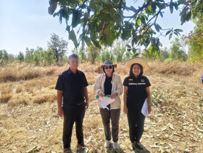 ตรวจสอบระวังชี้เเนวเขตในพื้นที่นิคมสหกรณ์ พารามิเตอร์รูปภาพ 1