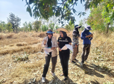 ตรวจสอบระวังชี้เเนวเขตในพื้นที่นิคมสหกรณ์ พารามิเตอร์รูปภาพ 1