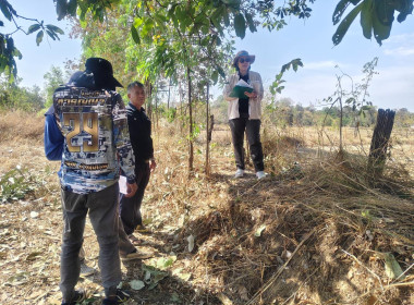 ตรวจสอบระวังชี้เเนวเขตในพื้นที่นิคมสหกรณ์ พารามิเตอร์รูปภาพ 4