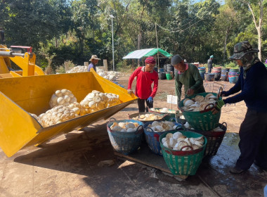 ธุรกิจการรวบรวมยางพารากลุ่มเกษตรกรชาวสวนยางอำเภอหัวตะพาน พารามิเตอร์รูปภาพ 4