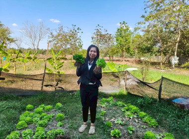 ติดตามผลการดำเนินงานของสหกรณ์การเกษตรนาดีอำนาจเจริญ จำกัด พารามิเตอร์รูปภาพ 5