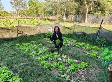 ติดตามผลการดำเนินงานของสหกรณ์การเกษตรนาดีอำนาจเจริญ จำกัด พารามิเตอร์รูปภาพ 6