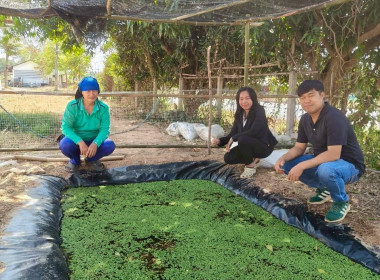 ติดตามผลการดำเนินงานของสหกรณ์การเกษตรนาดีอำนาจเจริญ จำกัด พารามิเตอร์รูปภาพ 1