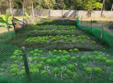 ติดตามผลการดำเนินงานของสหกรณ์การเกษตรนาดีอำนาจเจริญ จำกัด พารามิเตอร์รูปภาพ 8