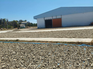 ติดตามการดำเนินธุรกิจของสหกรณ์การเกษตรปฏิรูปที่ดินปทุมราชวงศา จำกัด ... พารามิเตอร์รูปภาพ 4