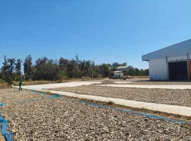 ติดตามการดำเนินธุรกิจของสหกรณ์การเกษตรปฏิรูปที่ดินปทุมราชวงศา จำกัด ... พารามิเตอร์รูปภาพ 5