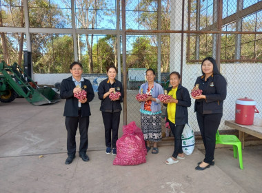 กระจายผลผลิตหอมแดง (มัดจุก) พารามิเตอร์รูปภาพ 2