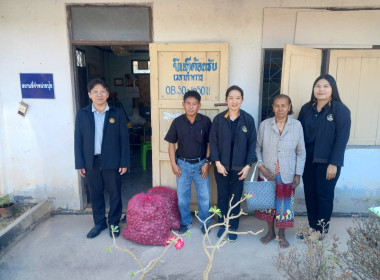 กระจายผลผลิตหอมแดง (มัดจุก) พารามิเตอร์รูปภาพ 3